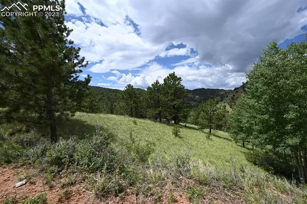 Cripple Creek, CO 80813,726 Copper Mountain DR