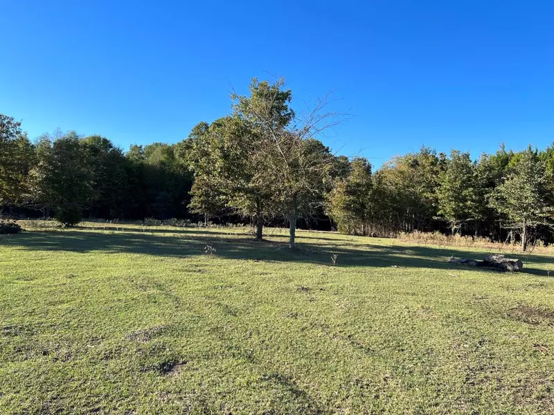 9359 County Road 1119, Athens, TX 75751