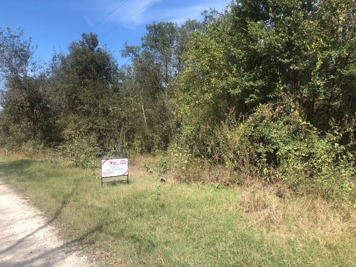 Retreat, TX 75110,TBD Chaperial Road