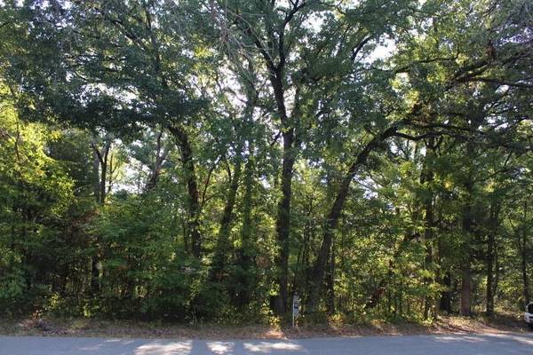 0 Beachwood Loop, Trinidad, TX 75163