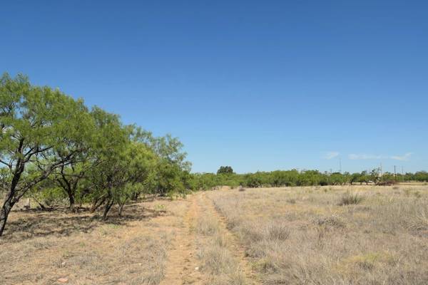 TBD Hwy 67 Highway, Valera, TX 76884