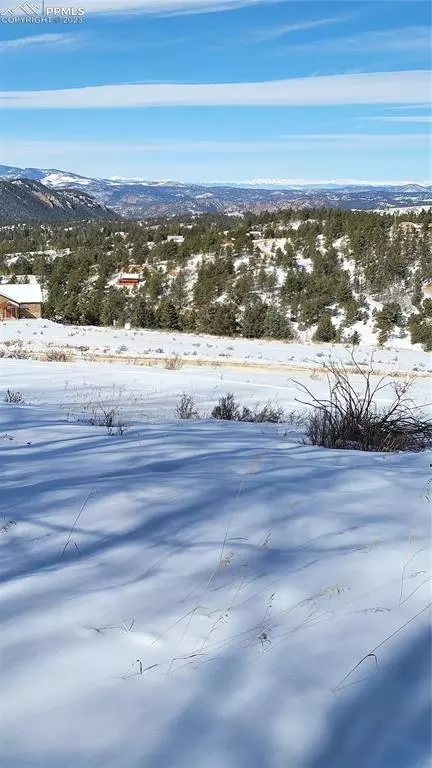 Cripple Creek, CO 80813,331 Troy WAY