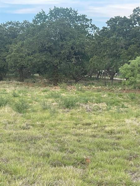 1.33 ACRES TBD County Road 176, Ovalo, TX 79541