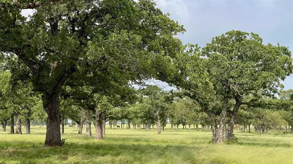 Mineral Wells, TX 76067,1031 Drover's Trail