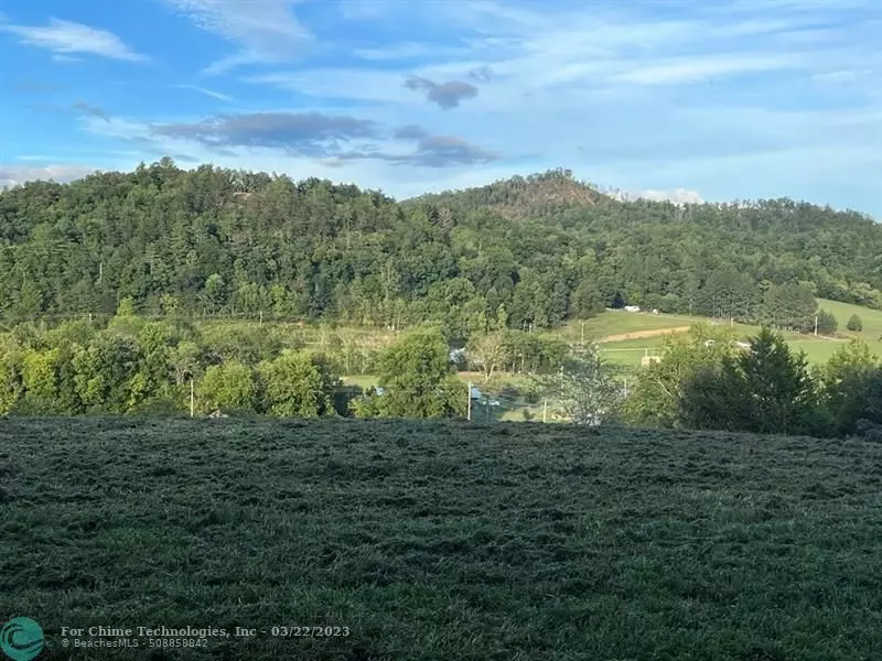 Other City - Not In The State Of Florida, TN 37727,1 Catnip