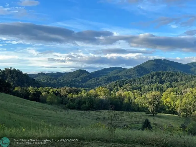 Other City - Not In The State Of Florida, TN 37727,2 Catnip