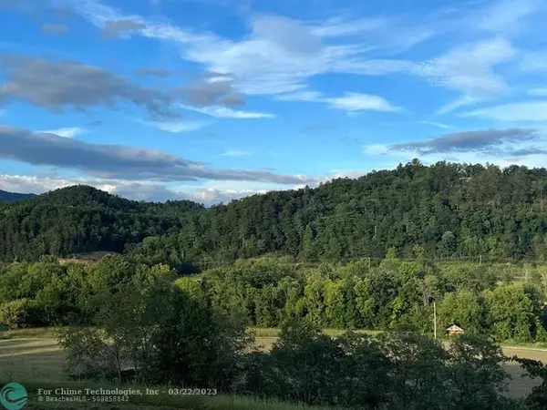 Other City - Not In The State Of Florida, TN 37727,1 Catnip