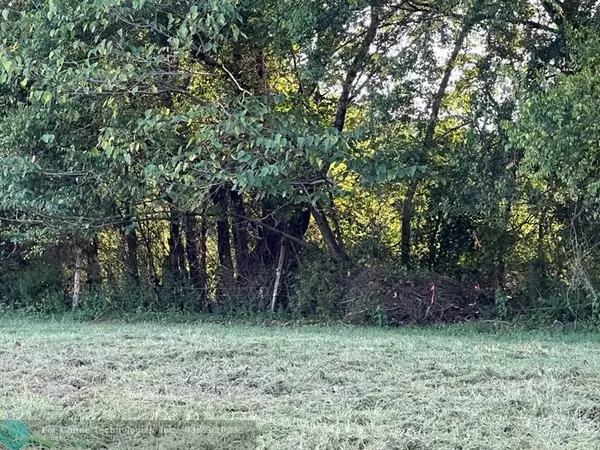 Other City - Not In The State Of Florida, TN 37727,1 Catnip