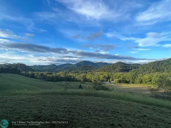 Other City - Not In The State Of Florida, TN 37727,2 Catnip