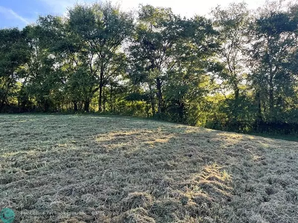 Other City - Not In The State Of Florida, TN 37727,2 Catnip