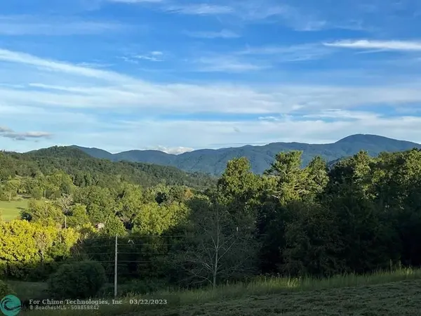 Other City - Not In The State Of Florida, TN 37727,2 Catnip