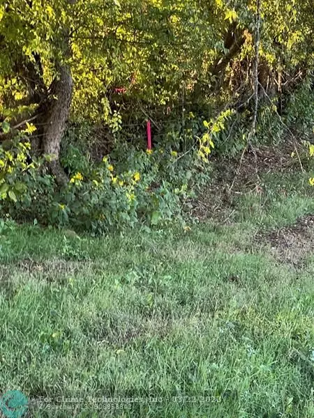 Other City - Not In The State Of Florida, TN 37727,2 Catnip