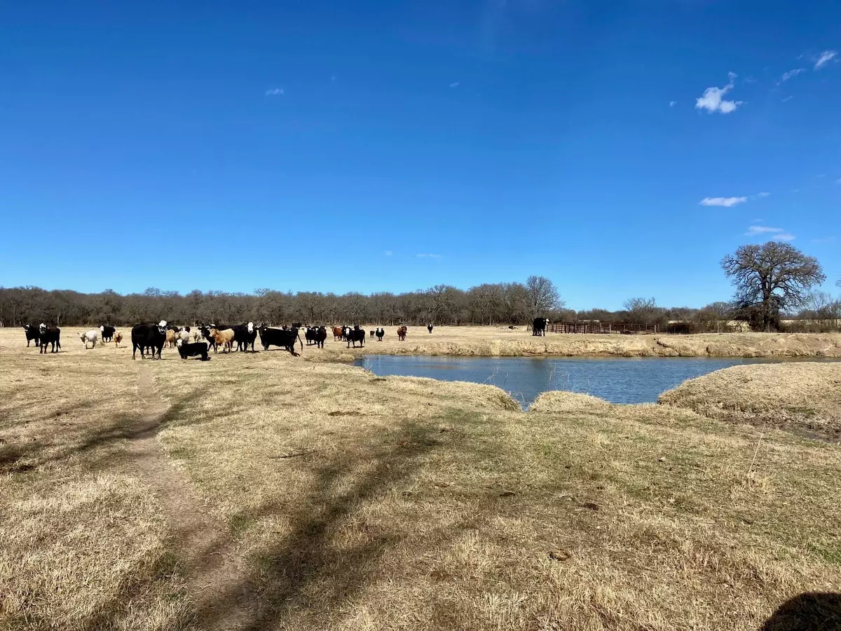 Comanche, TX 76442,TBD County Rd 408