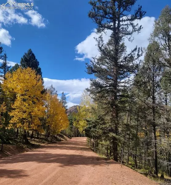 113 Sunset LN, Cripple Creek, CO 80813