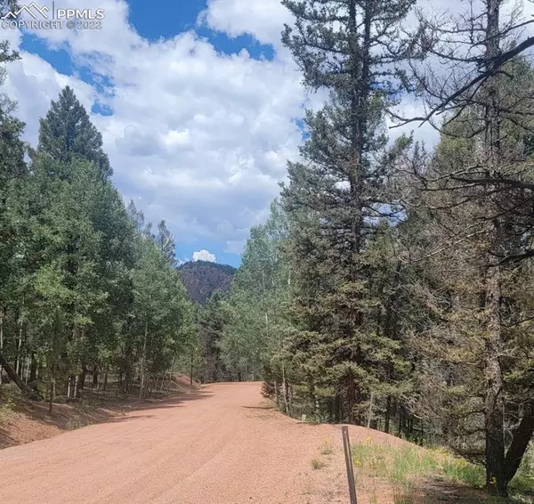 Cripple Creek, CO 80813,113 Sunset LN