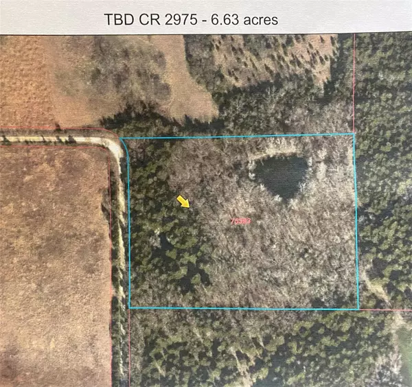 Dodd City, TX 75438,TBD County Rd 2975