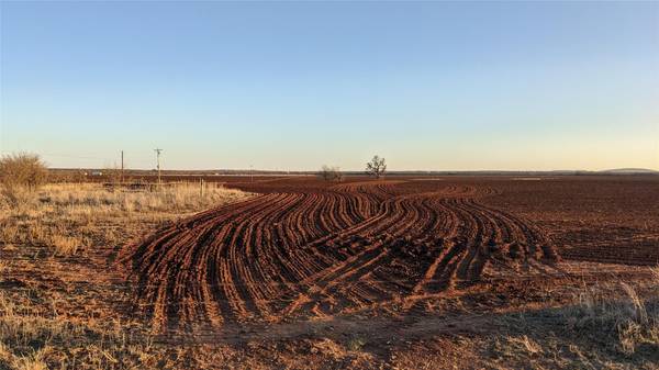 10+/- Ac (Tr 7) FM 1082, Abilene, TX 79601