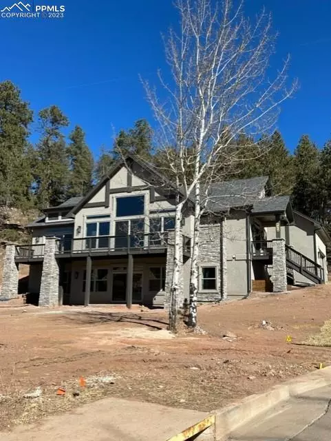 Woodland Park, CO 80863,926 Locklin WAY