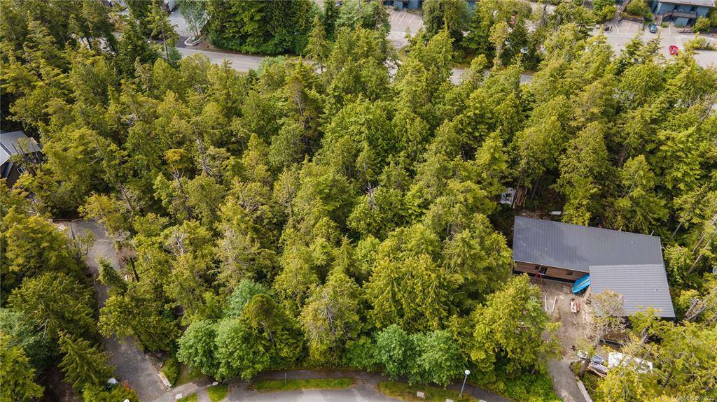 Ucluelet, BC V0R 3A0,1740 Rainforest Lane