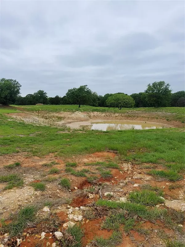 Glen Rose, TX 76043,0000 County Rd 2027