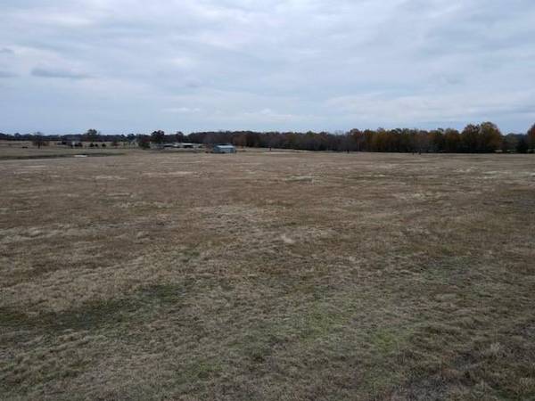 0000 County Road 44800 #lot 2, Blossom, TX 75416