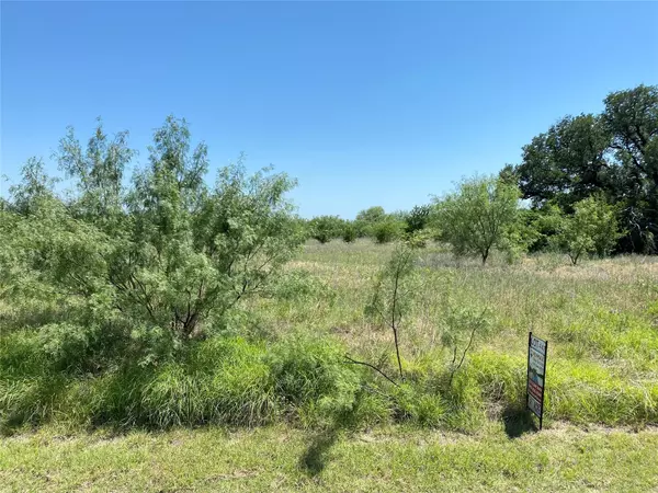 Graford, TX 76449,Lot 447 Indigo Bush Court