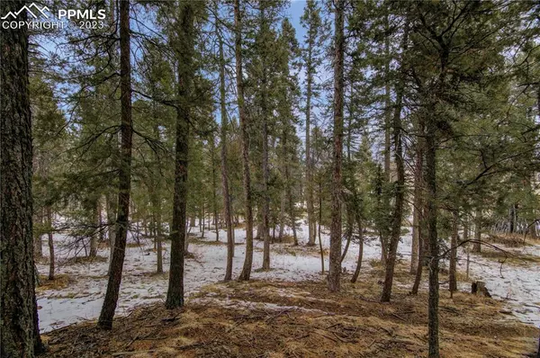 Lot 8 Will Scarlet DR, Divide, CO 80814