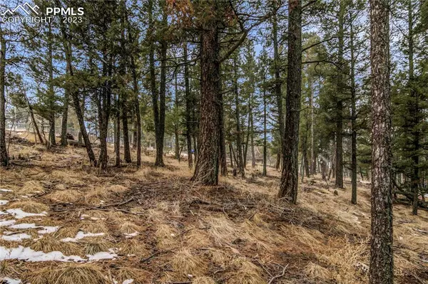 Divide, CO 80814,Lot 8 Will Scarlet DR