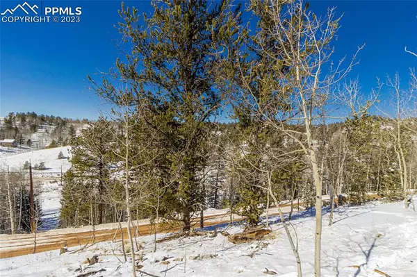 1065 Yorktown RD, Cripple Creek, CO 80813