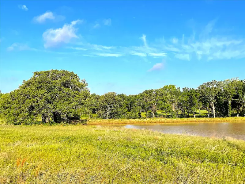 05 Jordan Road, Poolville, TX 76487