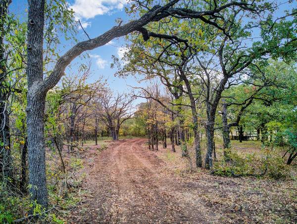 TBD County Rd 3451, Paradise, TX 76073