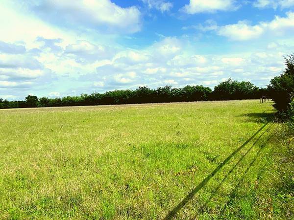 Van Alstyne, TX 75495,00 Black Road