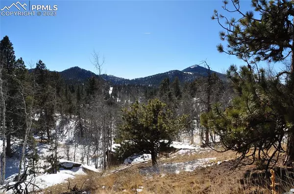 98 Bennett DR, Cripple Creek, CO 80813