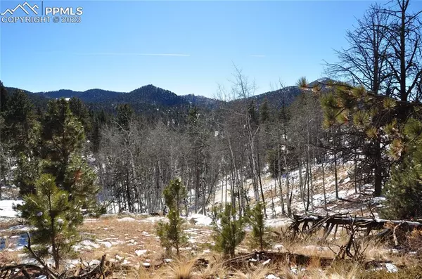 Cripple Creek, CO 80813,98 Bennett DR