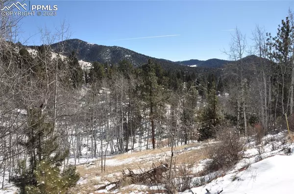 Cripple Creek, CO 80813,98 Bennett DR