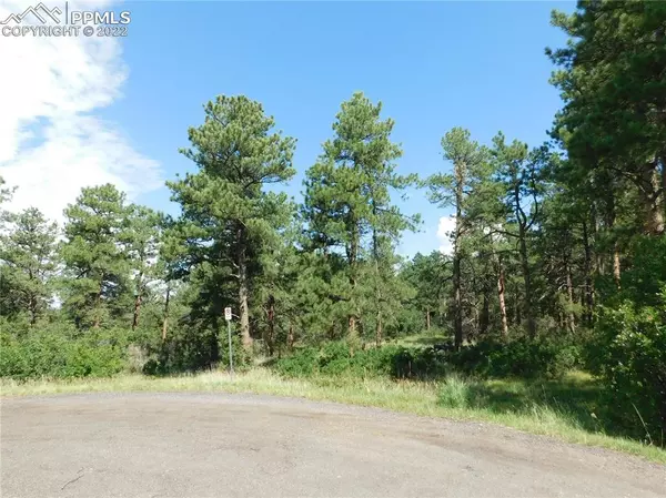 Larkspur, CO 80118,14000 True Mountain DR