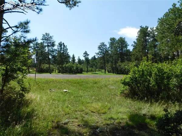 Larkspur, CO 80118,14000 True Mountain DR