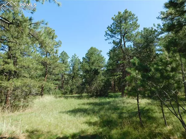 Larkspur, CO 80118,14000 True Mountain DR