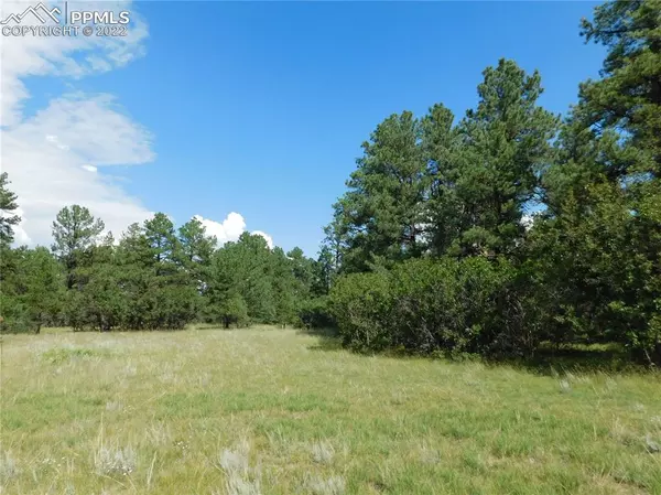 Larkspur, CO 80118,14000 True Mountain DR