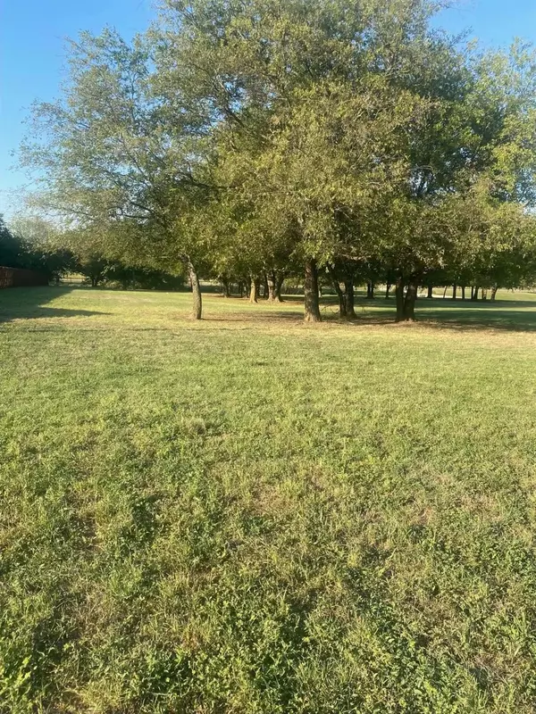 Joshua, TX 76058,4509 Homestead Way