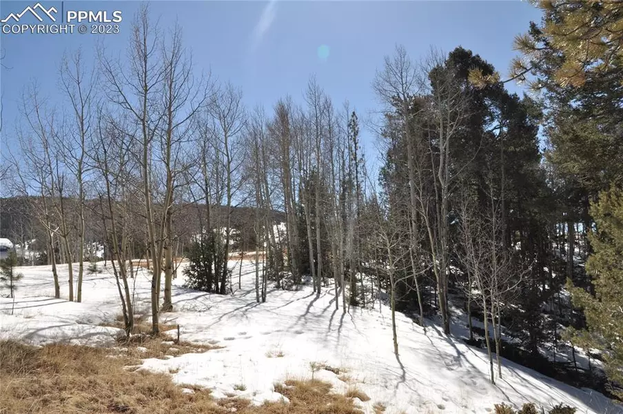 553 May Queen DR, Cripple Creek, CO 80813