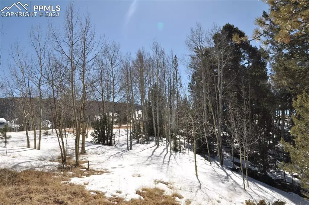 Cripple Creek, CO 80813,553 May Queen DR