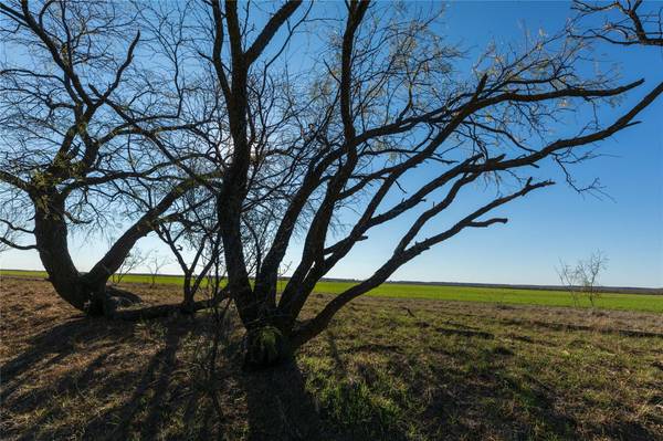 TBD Fm 1710, Woodson, TX 76491