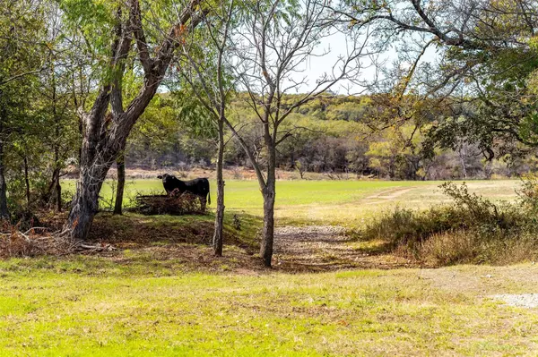 Bowie, TX 76230,19281 FM 2127