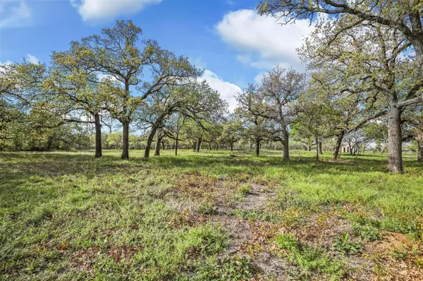 205 Quiet Cove Court,  Argyle,  TX 76226