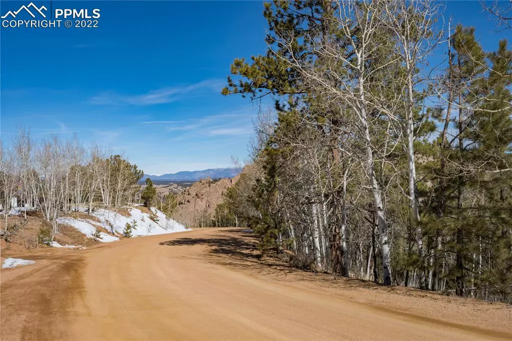 Cripple Creek, CO 80813,781 Dandy Jim DR