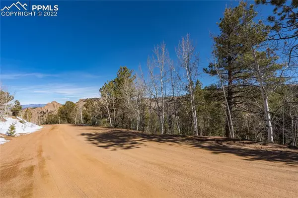 Cripple Creek, CO 80813,781 Dandy Jim DR