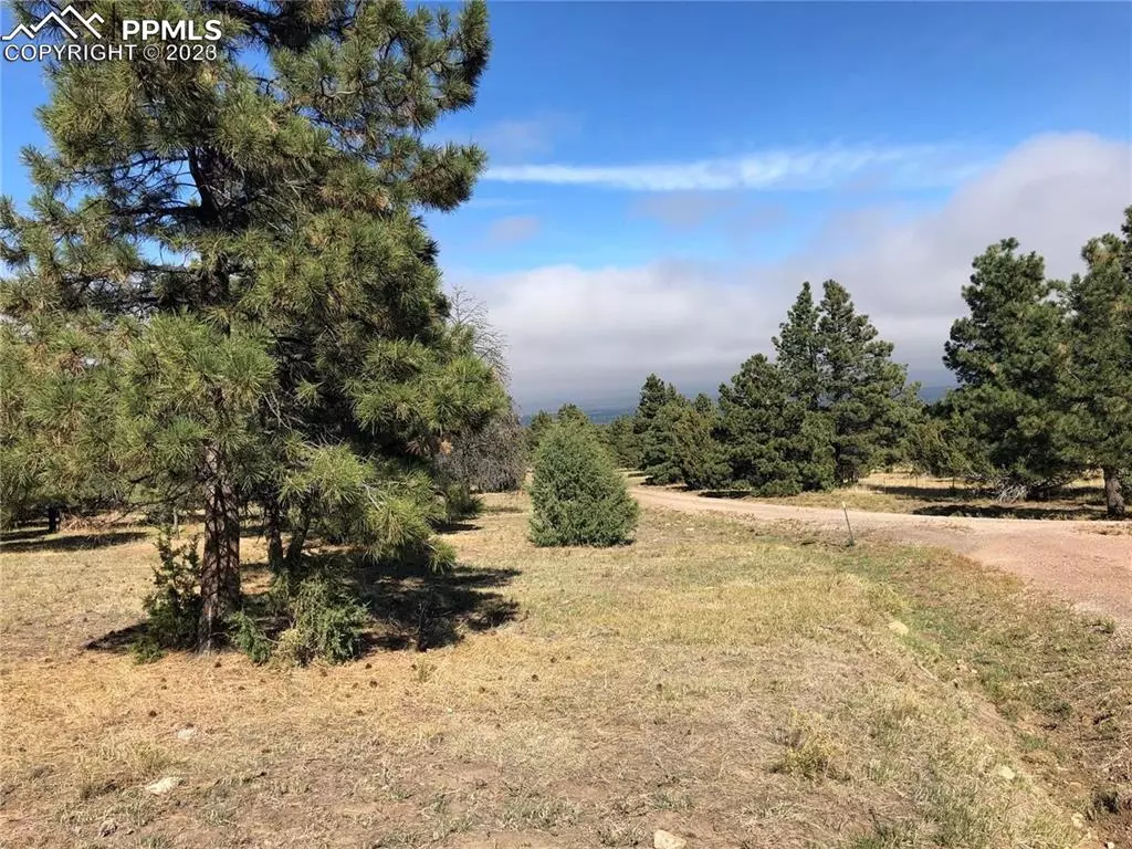 Beulah, CO 81023,0 Ponderosa Pine DR