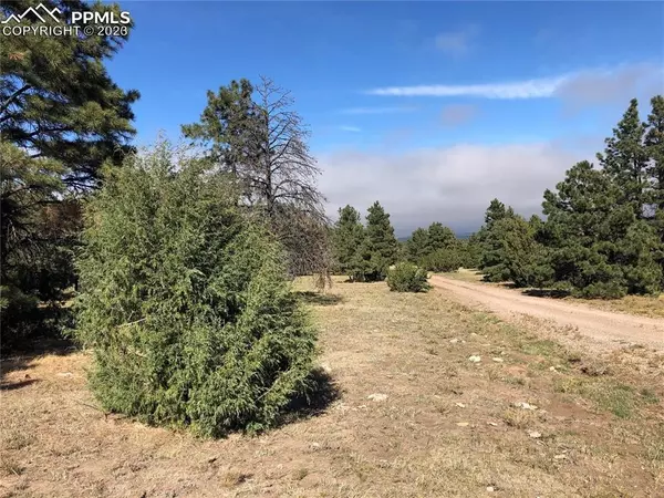 Beulah, CO 81023,0 Ponderosa Pine DR