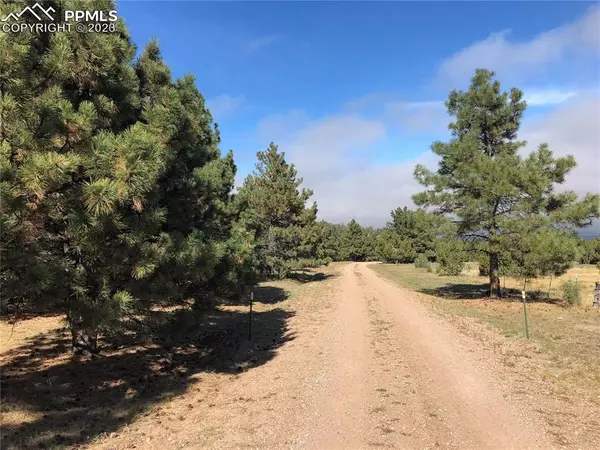 Beulah, CO 81023,0 Ponderosa Pine DR